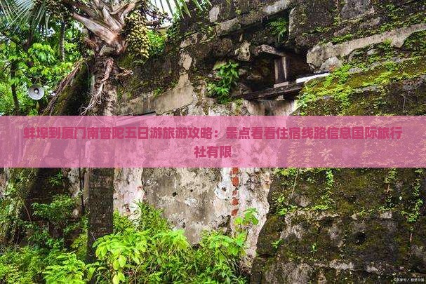 蚌埠到厦门南普陀五日游旅游攻略：景点看看住宿线路信息国际旅行社有限