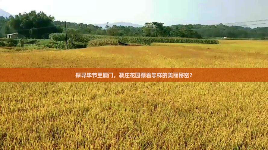 探寻毕节至厦门，菽庄花园藏着怎样的美丽秘密？