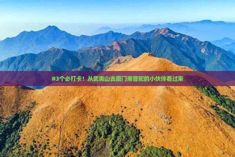 #3个必打卡！从武夷山去厦门南普陀的小伙伴看过来