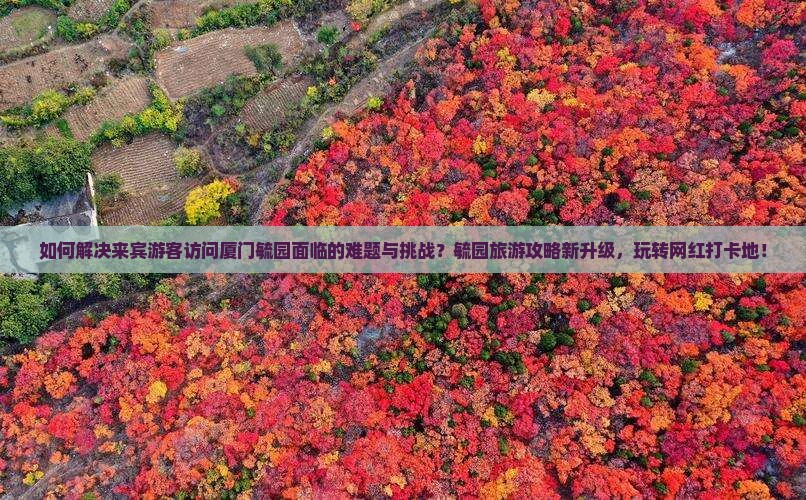如何解决来宾游客访问厦门毓园面临的难题与挑战？毓园旅游攻略新升级，玩转网红打卡地！
