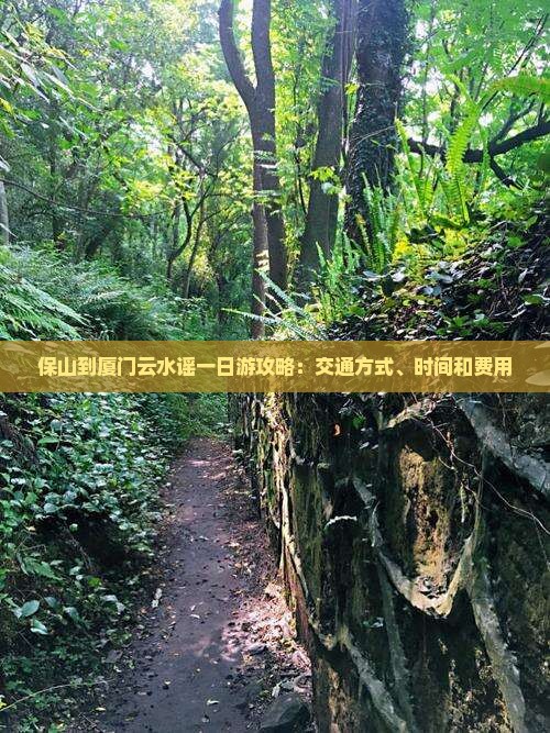 保山到厦门云水谣一日游攻略：交通方式、时间和费用