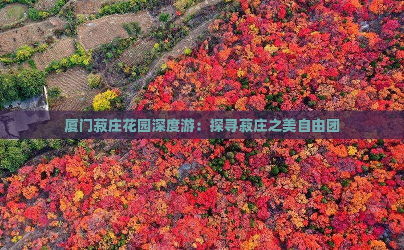 厦门菽庄花园深度游：探寻菽庄之美自由团