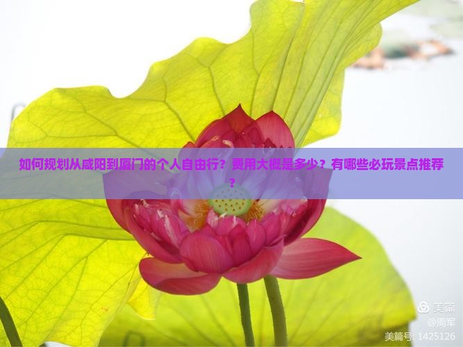 如何规划从咸阳到厦门的个人自由行？费用大概是多少？有哪些必玩景点推荐？