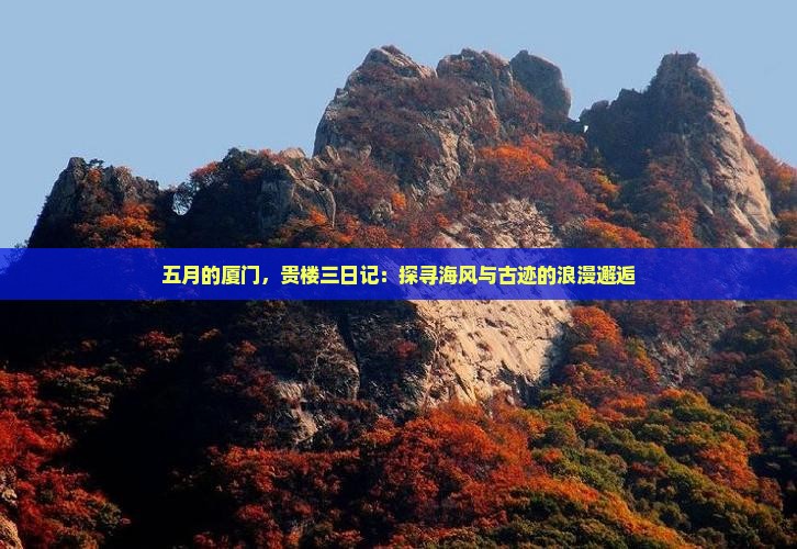 五月的厦门，贵楼三日记：探寻海风与古迹的浪漫邂逅