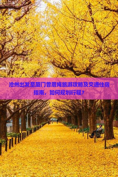 沧州出发至厦门曾厝埯旅游攻略及交通住宿指南，如何规划行程？