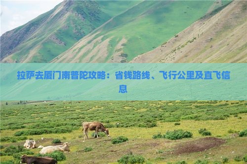 拉萨去厦门南普陀攻略：省钱路线、飞行公里及直飞信息