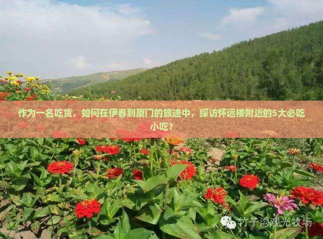 作为一名吃货，如何在伊春到厦门的旅途中，探访怀远楼附近的5大必吃小吃？