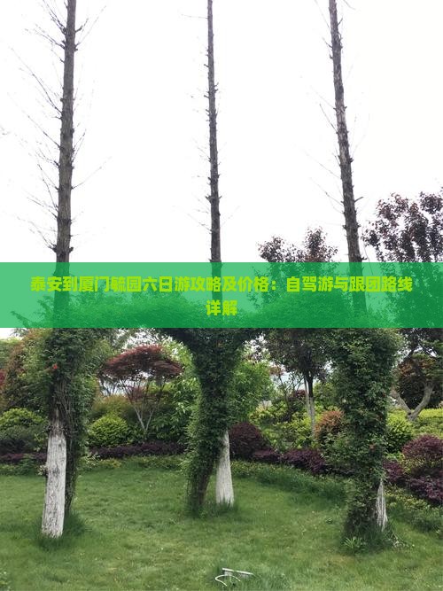 泰安到厦门毓园六日游攻略及价格：自驾游与跟团路线详解