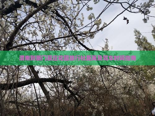 渭南到厦门菽庄花园旅行社距离及驾车时间指南