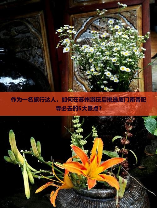 作为一名旅行达人，如何在苏州游玩后挑选厦门南普陀寺必去的5大景点？