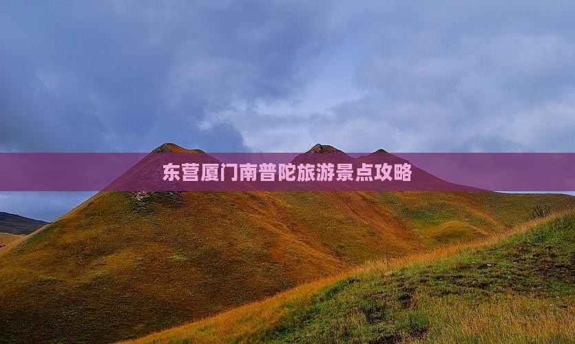 东营去厦门南普陀团体旅游