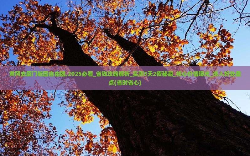 黄冈去厦门毓园自由团