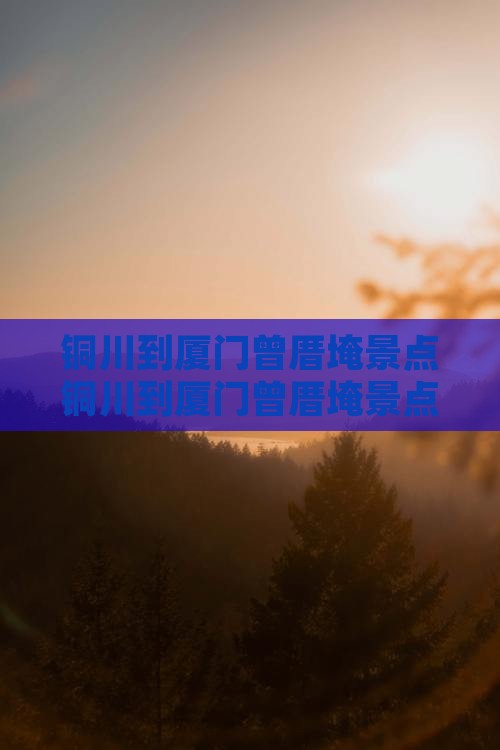 铜川到厦门曾厝埯景点