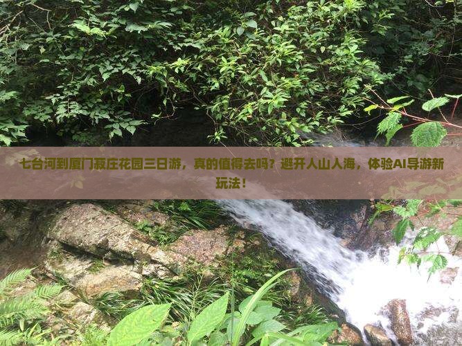 七台河到厦门菽庄花园三日游