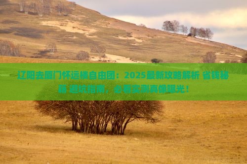 辽阳去厦门怀远楼自由团