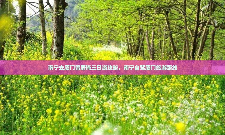 南宁去厦门曾厝埯三日游 南宁去厦门曾厝埯三日游