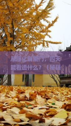 绥化到厦门四日游