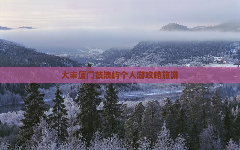 大丰去厦门鼓浪屿个人游