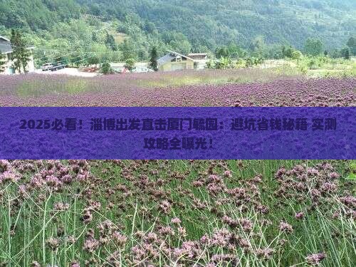 淄博去厦门毓园攻略