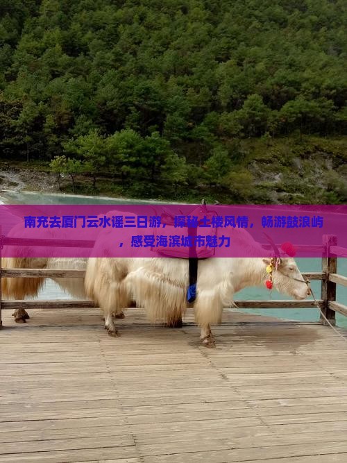 南充去厦门云水谣三日游