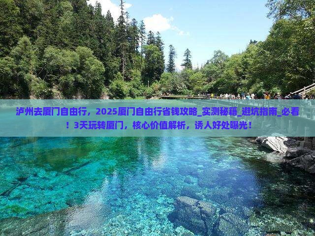 泸州去厦门自由行