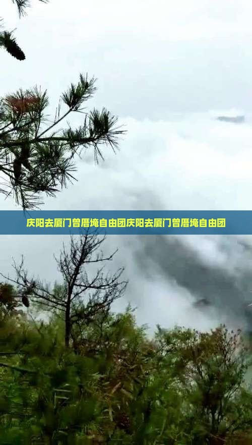 庆阳去厦门曾厝埯自由团