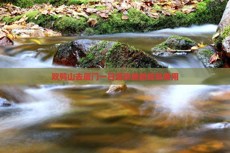 双鸭山去厦门一日