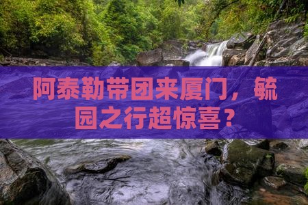 阿泰勒到厦门毓园团体旅游
