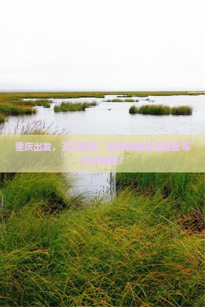 重庆去厦门鼓浪屿五日游