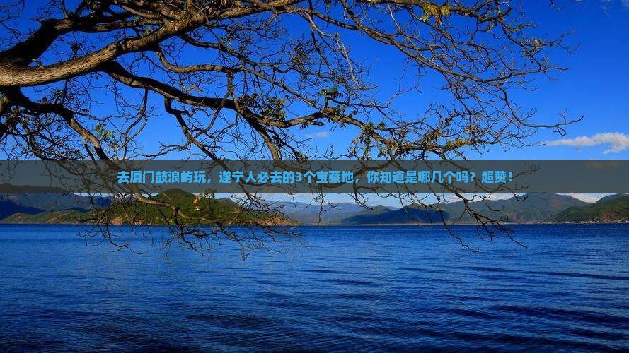 遂宁去厦门鼓浪屿必去地