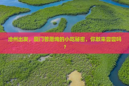 沧州去厦门曾厝埯旅游小吃