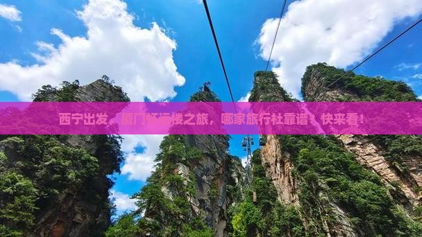 西宁去厦门怀远楼旅行社