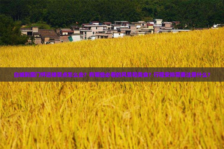 白城到厦门怀远楼景点