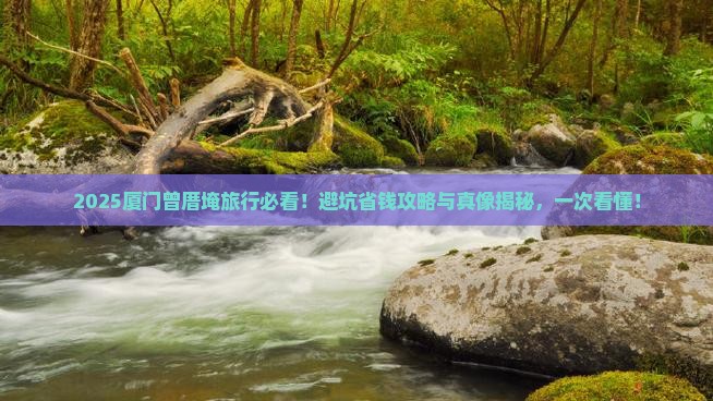 秋天到厦门曾厝埯旅行社