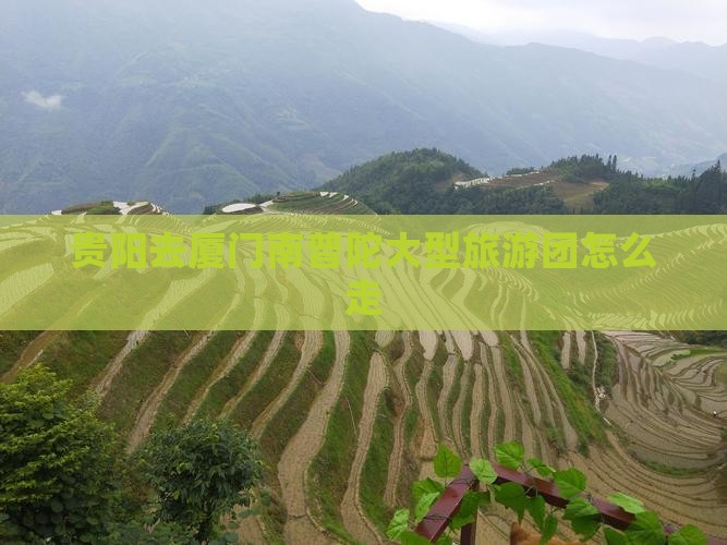 贵阳去厦门南普陀大型旅游团