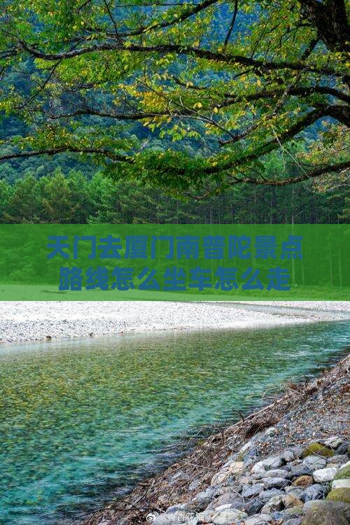 天门去厦门南普陀景点