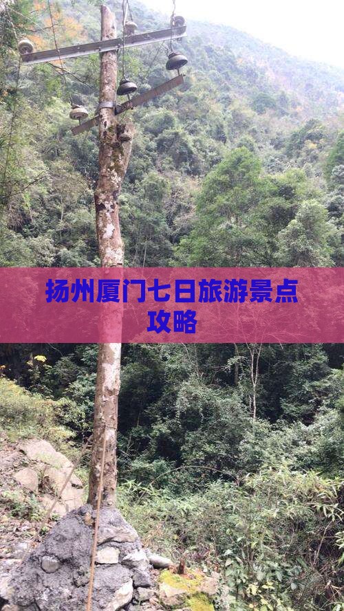 扬州去厦门七日游