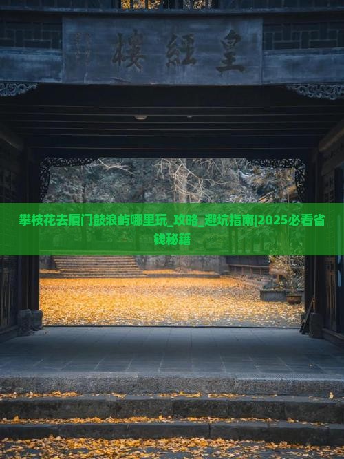 攀枝花去厦门鼓浪屿哪里玩