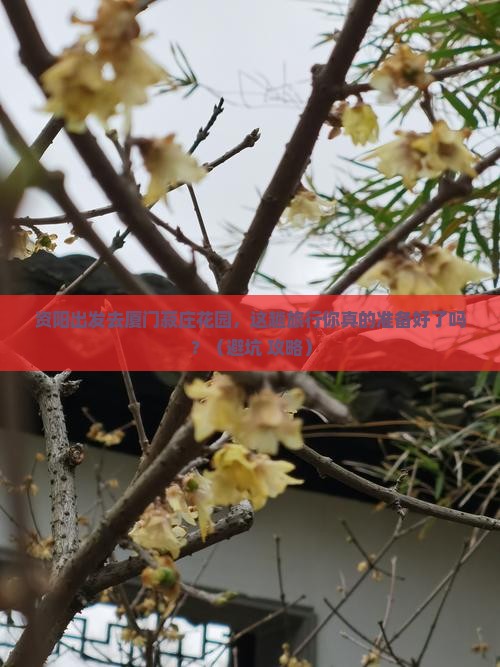 资阳去厦门菽庄花园旅行社