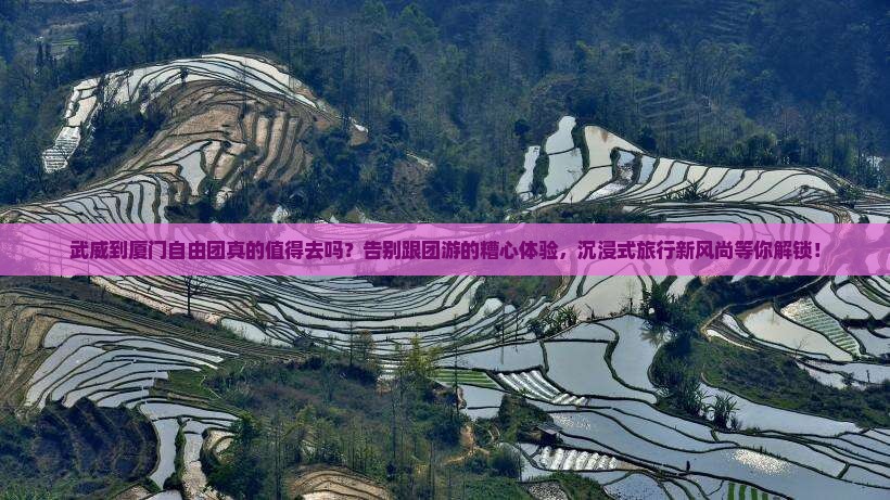 武威到厦门自由团