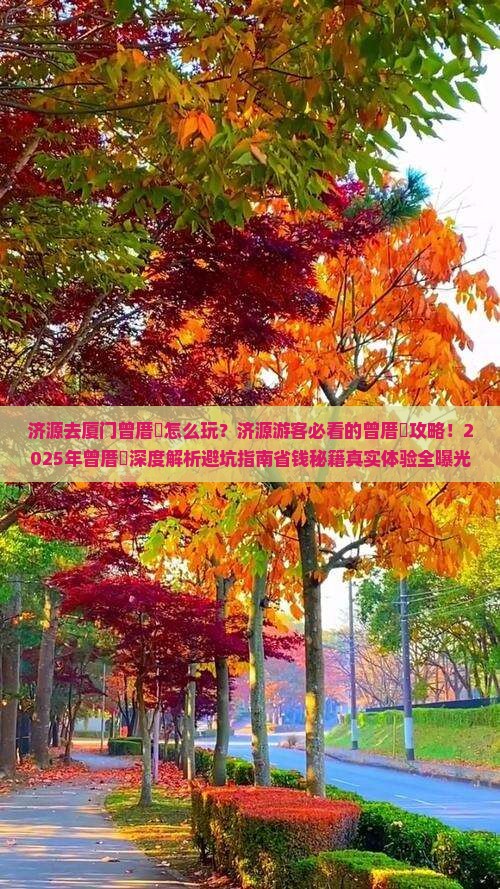 济源去厦门曾厝埯一日