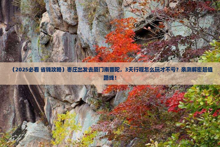 枣庄到厦门南普陀旅游