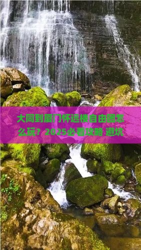 大同到厦门怀远楼自由团
