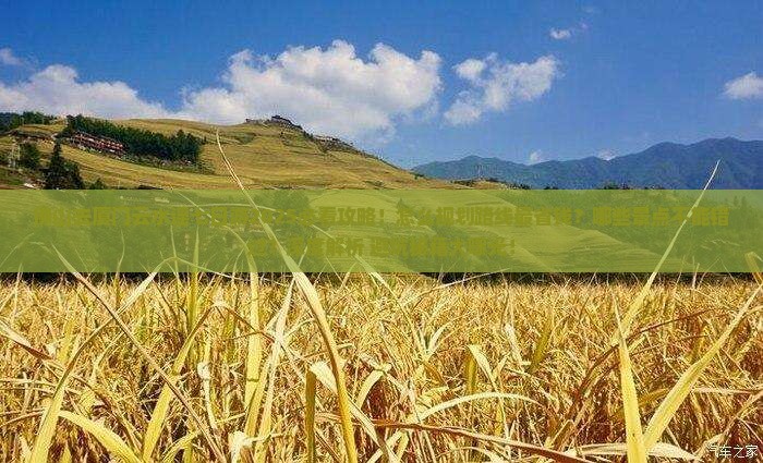 佛山去厦门云水谣七日游