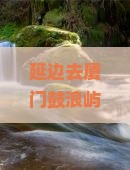 延边去厦门鼓浪屿四日游