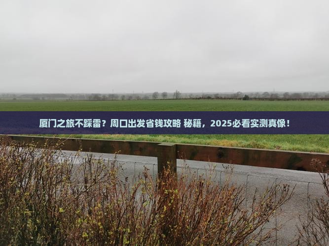 周口到厦门个人游