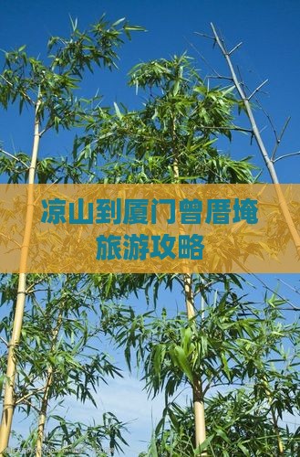 凉山到厦门曾厝埯旅行社