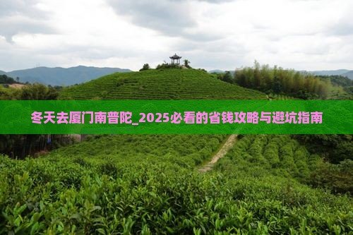 冬天去厦门南普陀一日