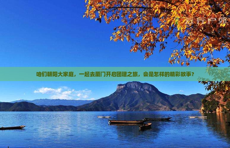 咱们朝阳大家庭，一起去厦门开启团建之旅，会是怎样的精彩故事？