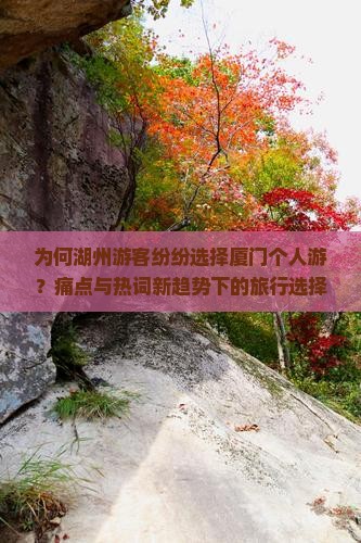为何湖州游客纷纷选择厦门个人游？痛点与热词新趋势下的旅行选择！